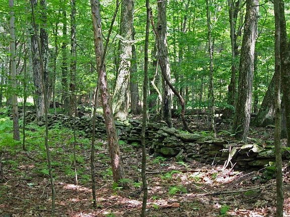 3rd image of Margaretville Mountain Rd
