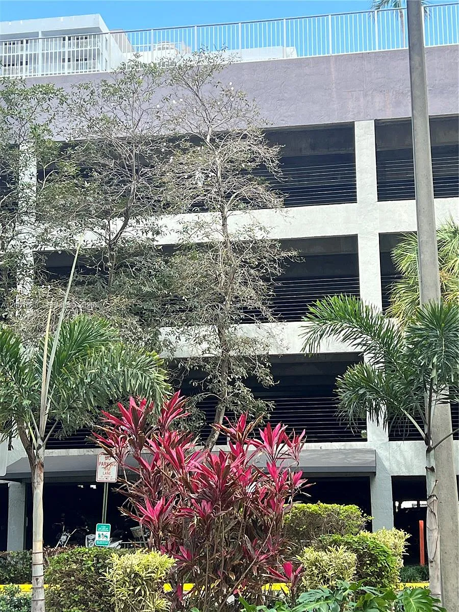 Building Photo - 850 N Miami Ave #W-1806