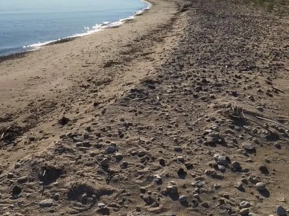 Beach Rd, Rogers City, MI 49779
