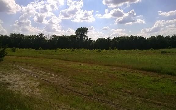 3rd image of 2146 County Road 4525