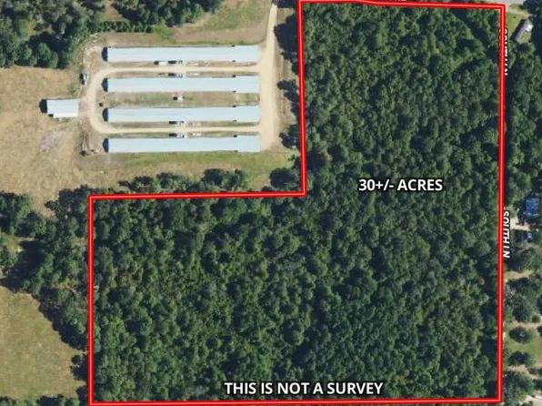 Albert Rayburn Road South Ln, Columbia, MS 39429