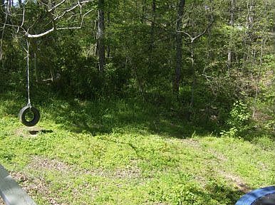 back yard