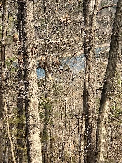 1st image of 167 County Road 172