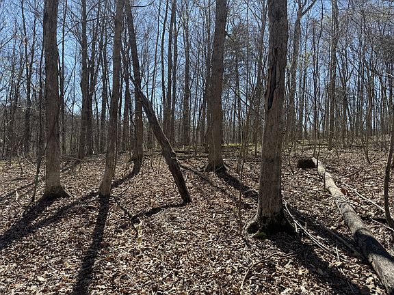 5th image of 0 Brigham Branch Rd