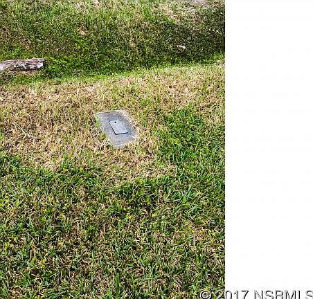 4th image of 1291 Elizabeth St