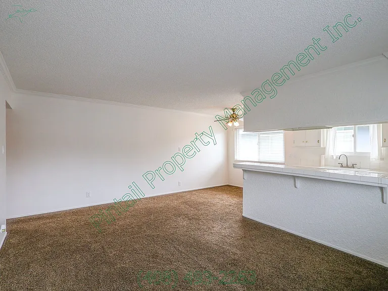 4771 Capay Dr #4 — Photo 3
