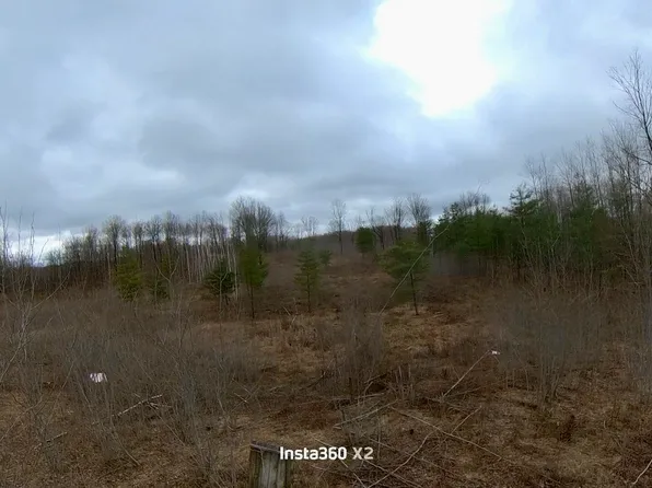 20 Mile Rd, Marion, MI 49665