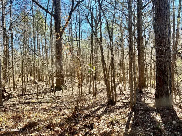 Crooked Creek Rd, Crosby, MS 39633