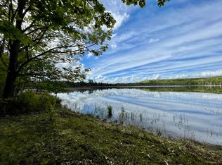 8936 Lake Sixteen Rd, Onaway, MI 49765