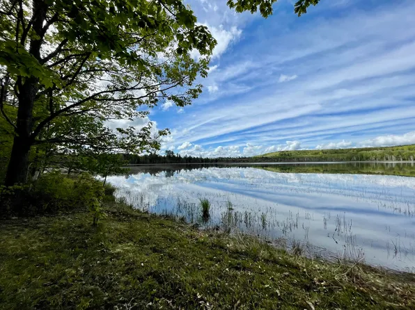 8936 Lake Sixteen Rd, Onaway, MI 49765