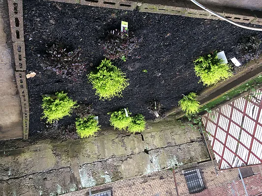 Rented by Owner | media 27