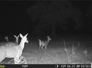 TRACT Pine Ranch Rd #I, Seguin, TX 78155