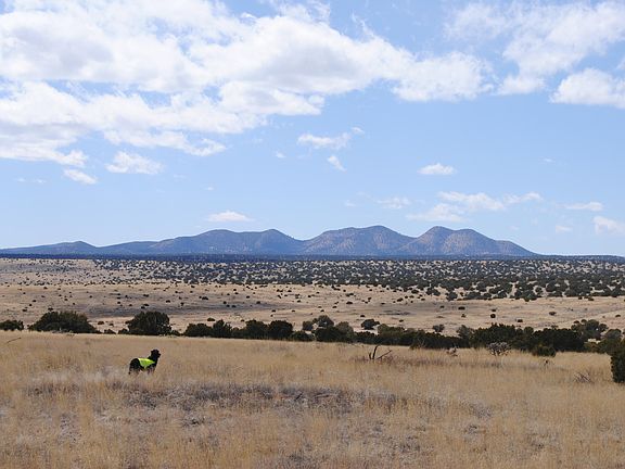 2nd image of 37 Lost Calf Ln