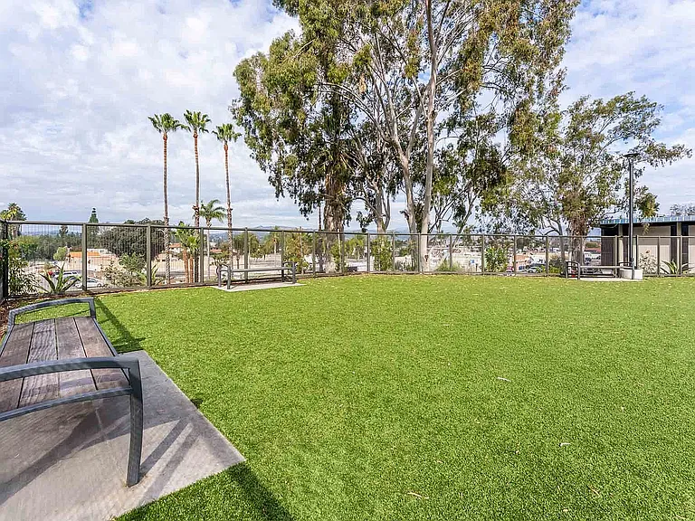 Dog Park