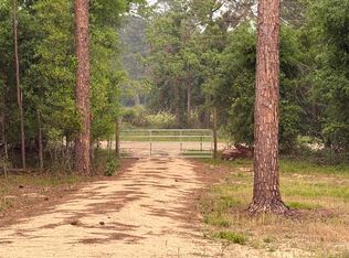 455 NE Blue Ridge Landing Ave, Lee, FL 32059