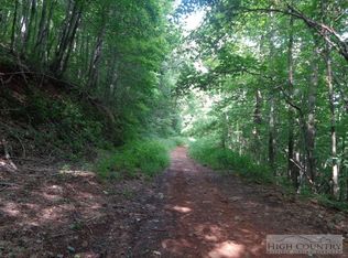 Tbd Buffalo Meadows Rd, West Jefferson, NC 28694