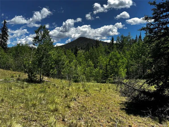 585 Haida Lane LOT 34, Como, CO 80456