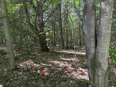 LOT 32 Rose Ct, Kewadin, MI, 49648