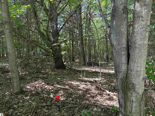 LOT 32 Rose Ct, Kewadin, MI 49648