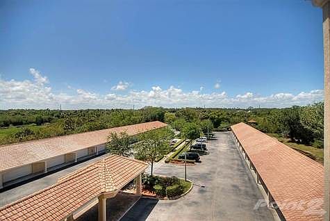 VIEW FROM ABOVE