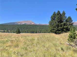 51 Potentilla Rd, Alma, CO 80420