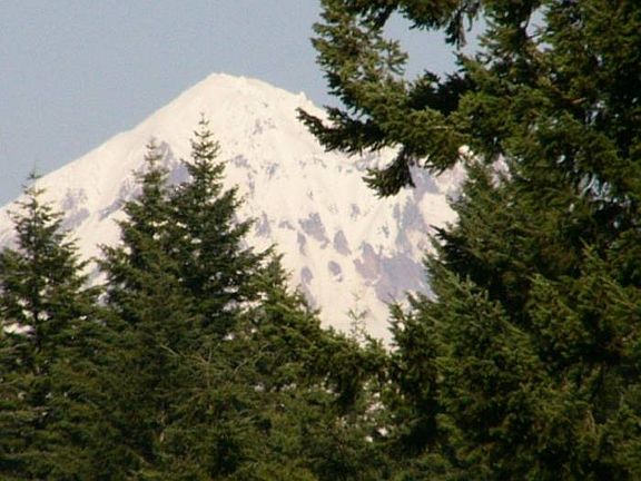 Mt. Hood View