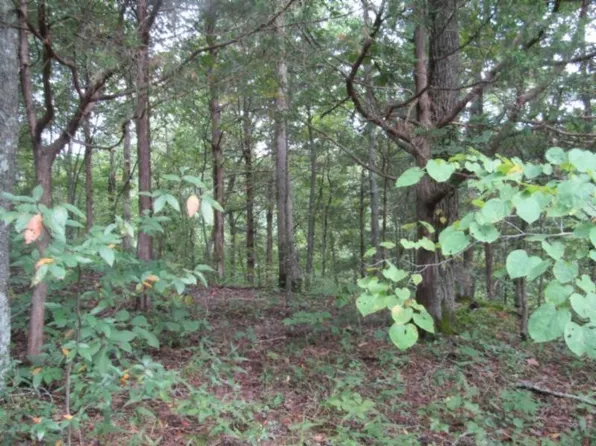 0 Malone Rd Lot 8, Nunnelly, TN 37137
