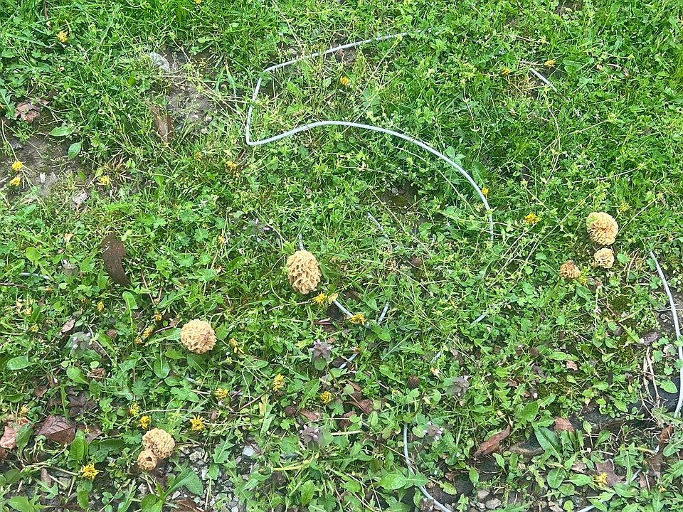 70th image of this home