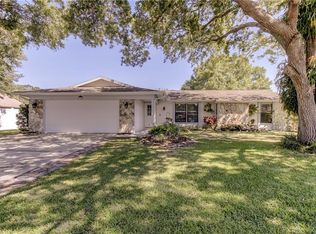 708 Satinleaf Ave, Oldsmar, FL 34677