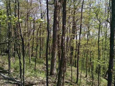0 S Schomberg Rd, Lake Leelanau, MI, 49653