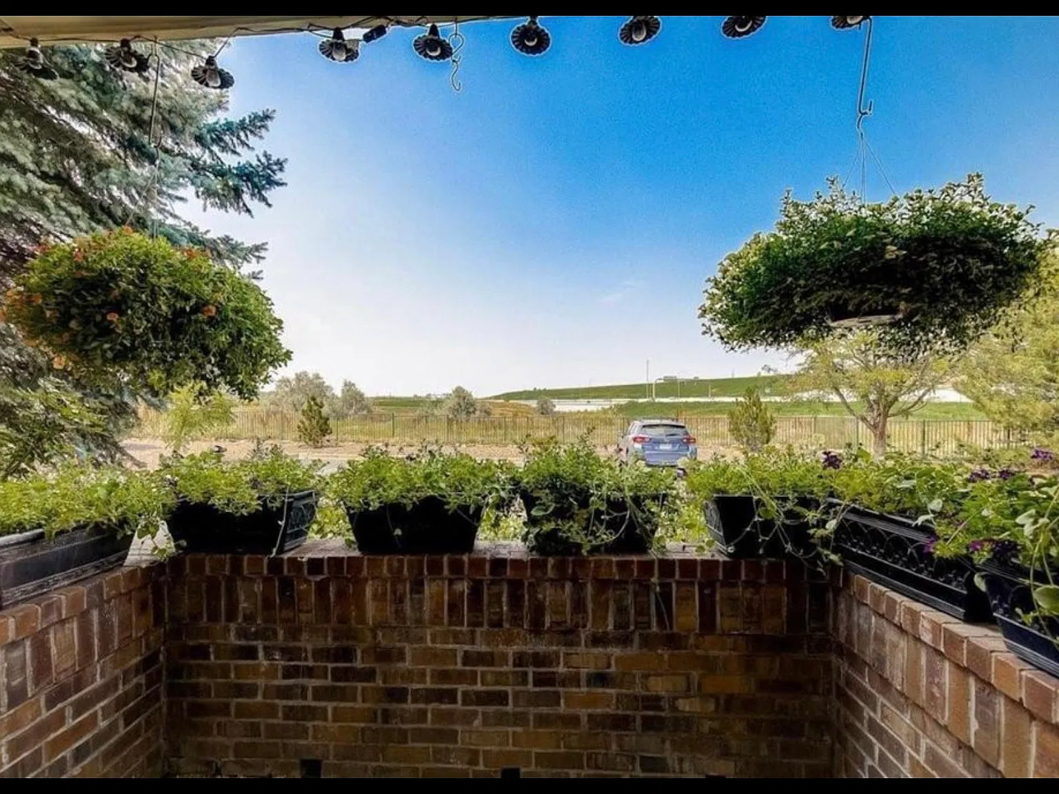 1 bed, 800 sqft, $1,950 — Photo 3