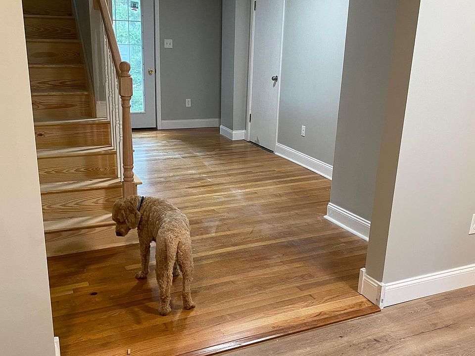 This dog is also not included :)