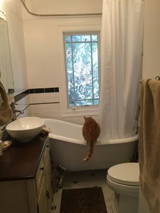 355 Tamalpais Rd, Fairfax, CA, 94930