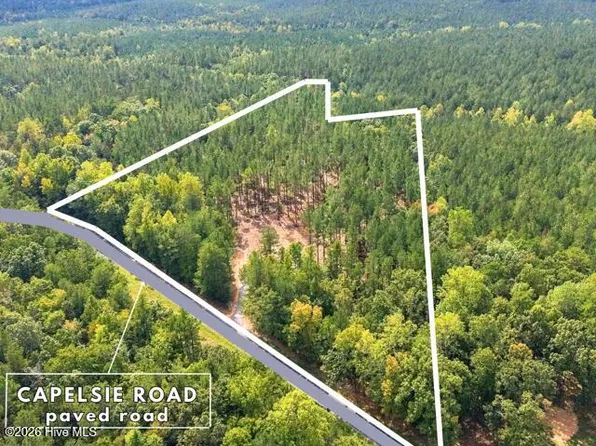 Lot 1 Capelsie Road, Candor, NC 27229