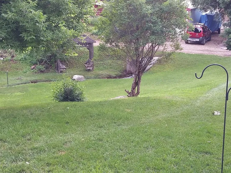 Yard and year-around creek.