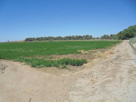 2nd image of 141 Water Toll Acres