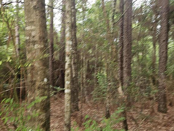 2nd image of Possum Ridge Rd