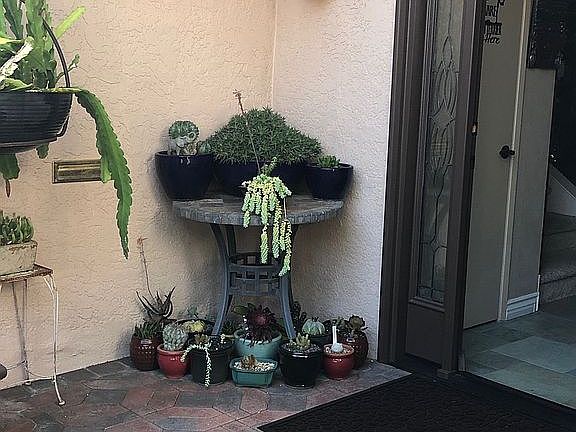 5th image of 6762 Dicenza Way
