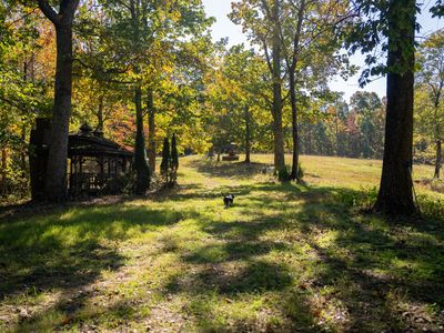150 Kim Marie Way, Pegram, TN, 37143