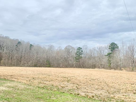 3rd image of 1116 County Road 2 #1