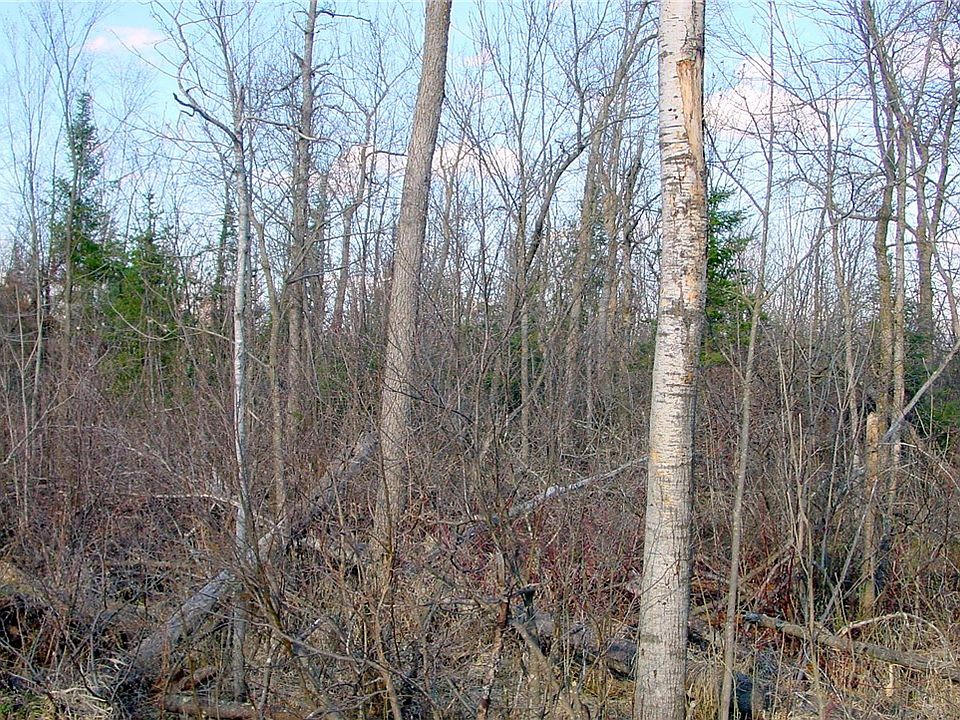 1st image of 20  Acres on Cloverland Road