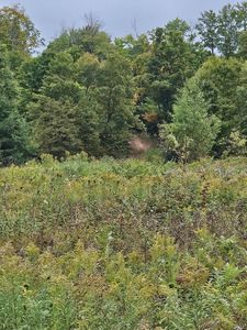 0 77 North & S #M, Germfask, MI, 49836