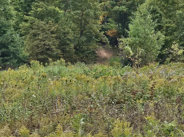 0 77 North & S #M, Germfask, MI 49836