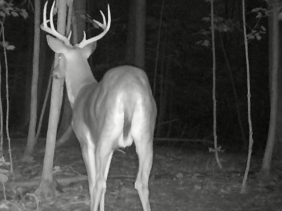 5th image of S Pittsford Rd #-v/l