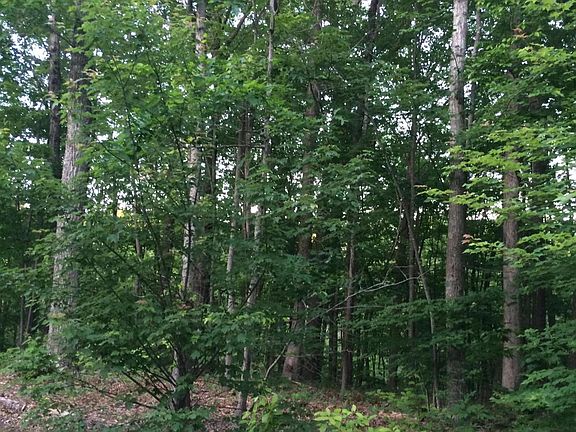 5th image of Laurel Dr