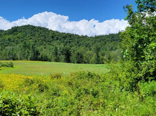 599 Lewis Hollow Road, Petersburgh, NY 12138