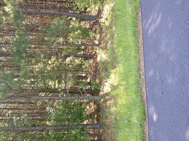 1st image of 460 E Emerald Lake Dr