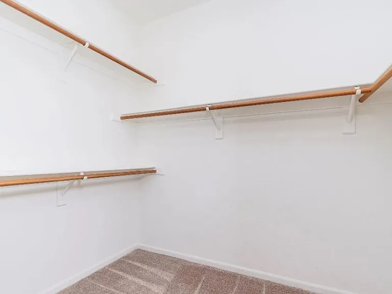 Walk-in closet (primary)