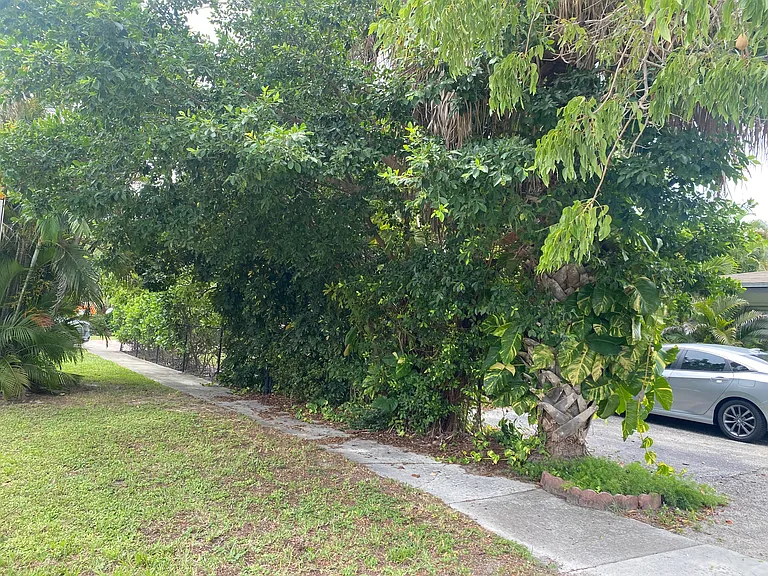 113 Palomino Cir #1 — Photo 12