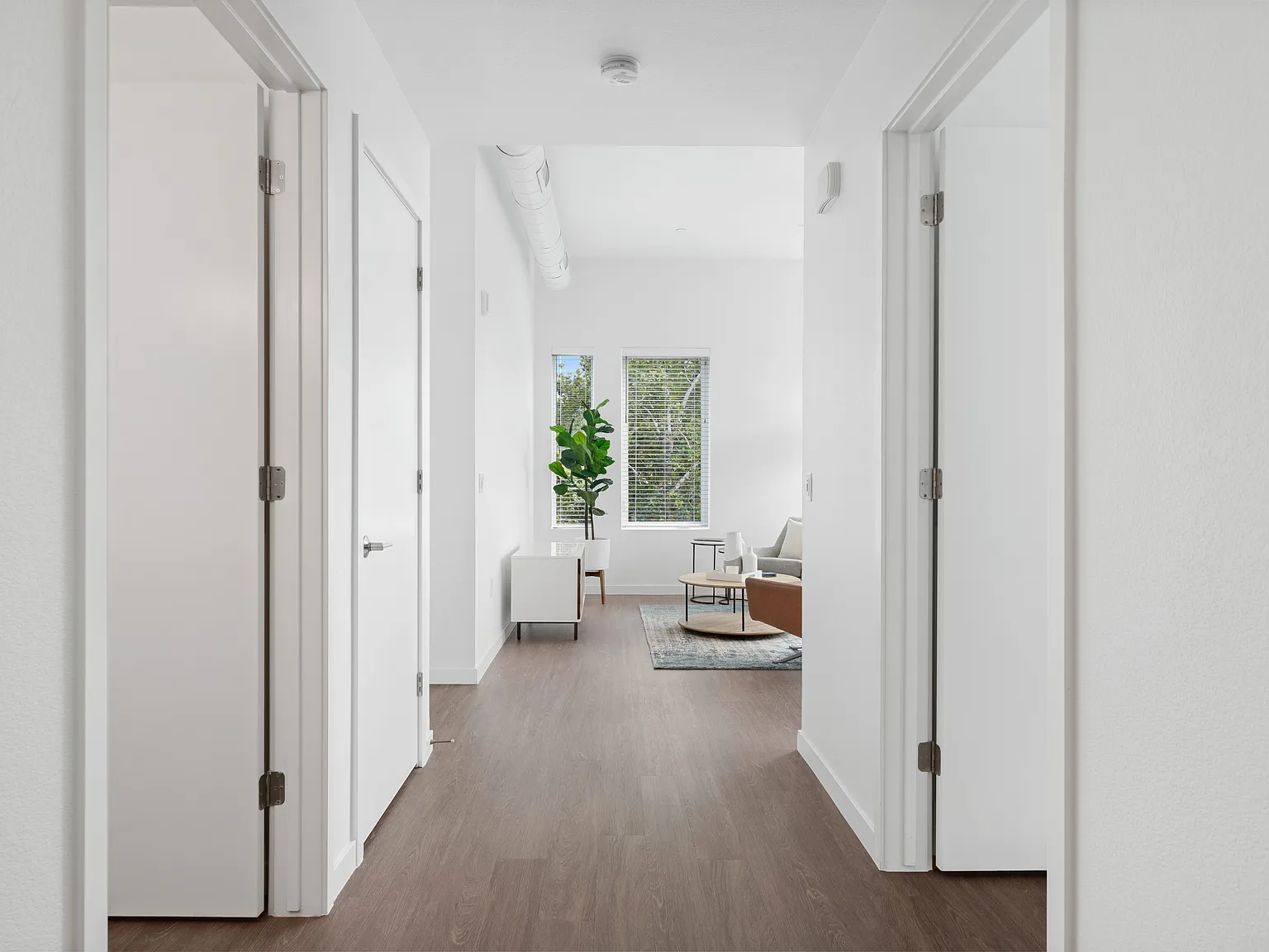 2 bed, 803 sqft, $1,745 — Photo 2